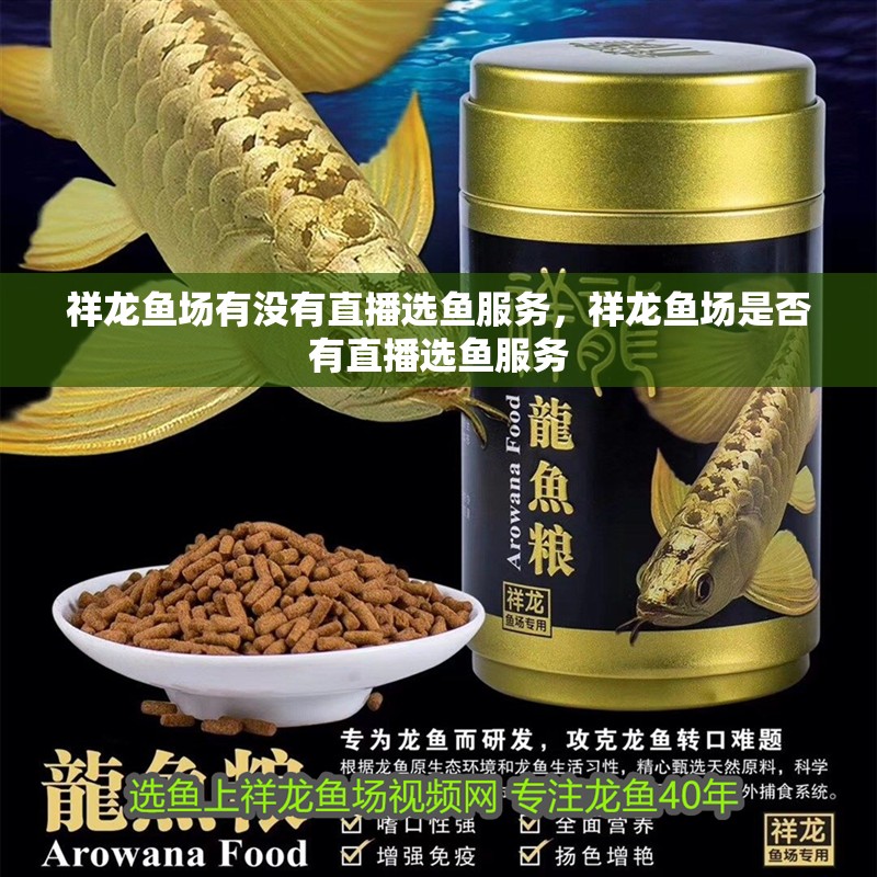 祥龍魚場有沒有直播選魚服務(wù),祥龍魚場是否有直播選魚服務(wù)