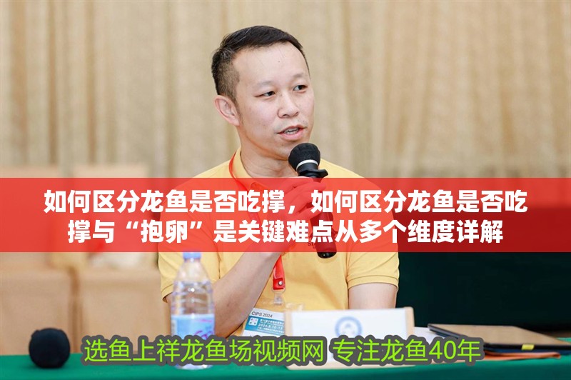 如何區(qū)分龍魚是否吃撐，如何區(qū)分龍魚是否吃撐與“抱卵”是關(guān)鍵難點從多個維度詳解