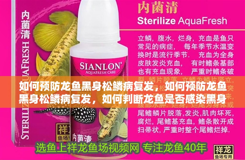 如何預防龍魚黑身松鱗病復發，如何預防龍魚黑身松鱗病復發，如何判斷龍魚是否感染黑身松鱗病