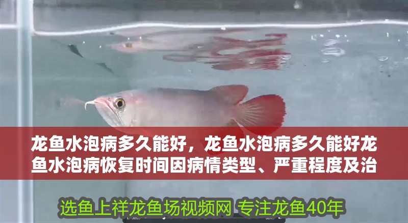 龍魚(yú)水泡病多久能好，龍魚(yú)水泡病多久能好龍魚(yú)水泡病恢復(fù)時(shí)間因病情類(lèi)型、嚴(yán)重程度及治療措施不同而有所差異