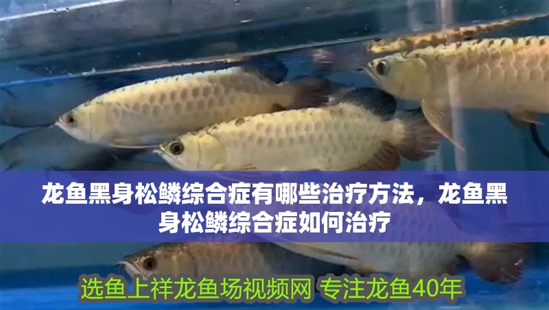 龍魚黑身松鱗綜合癥有哪些治療方法，龍魚黑身松鱗綜合癥如何治療