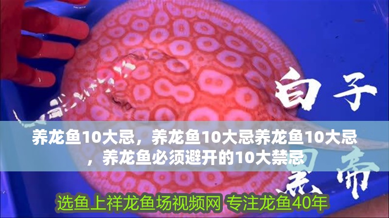 養龍魚10大忌，養龍魚10大忌養龍魚10大忌，養龍魚必須避開的10大禁忌 養龍魚10大忌，養龍魚10大忌養龍魚10大忌，養龍魚必須避開的10大禁忌 龍魚百科