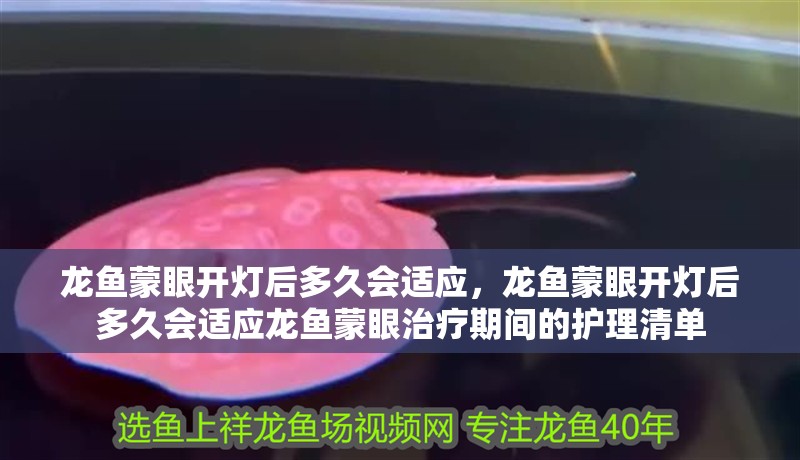 龍魚蒙眼開燈后多久會適應，龍魚蒙眼開燈后多久會適應龍魚蒙眼治療期間的護理清單