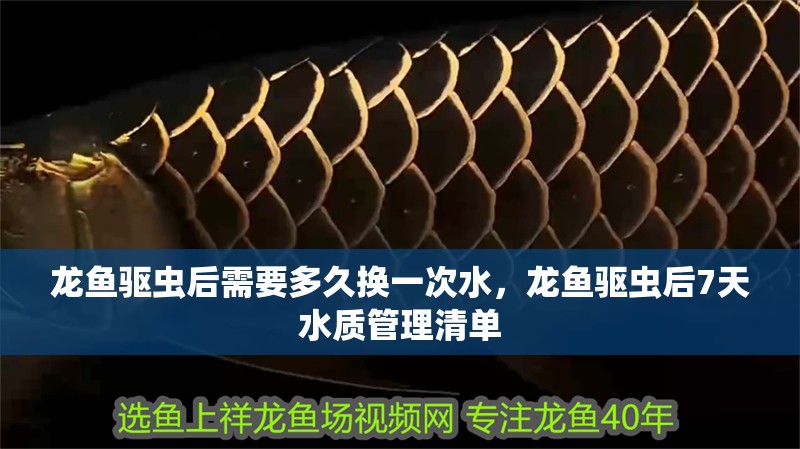 龍魚驅蟲后需要多久換一次水，龍魚驅蟲后7天水質管理清單
