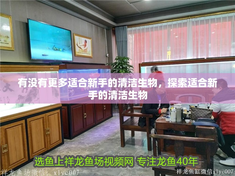 有沒有更多適合新手的清潔生物，探索適合新手的清潔生物 有沒有更多適合新手的清潔生物，探索適合新手的清潔生物 龍魚百科