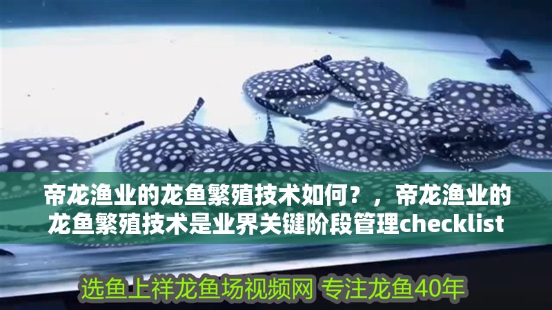 帝龍漁業的龍魚繁殖技術如何？，帝龍漁業的龍魚繁殖技術是業界關鍵階段管理checklist