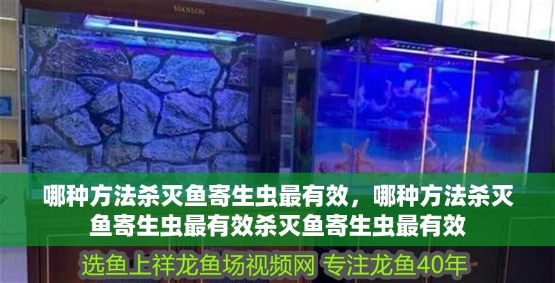 哪種方法殺滅魚寄生蟲最有效，哪種方法殺滅魚寄生蟲最有效殺滅魚寄生蟲最有效