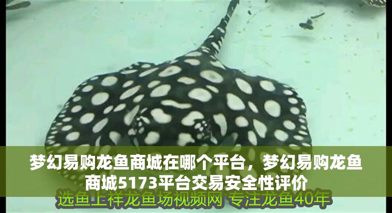 夢幻易購龍魚商城在哪個平臺，夢幻易購龍魚商城5173平臺交易安全性評價