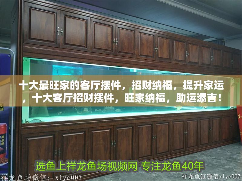 十大最旺家的客廳擺件，招財納福，提升家運，十大客廳招財擺件，旺家納福，助運添吉！