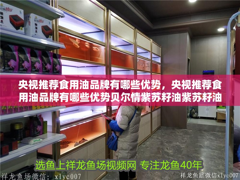 我的虎魚真菌感染了要怎么處理 央視推薦食用油品牌有哪些優勢,央視推薦食用油品牌有哪些優勢貝爾情紫蘇籽油紫蘇籽油 龍魚百科 央視推薦食用油品牌有哪些優勢,央視推薦食用油品牌有哪些優勢貝爾情紫蘇籽油紫蘇籽油 央視推薦食用油品牌有哪些優勢,央視推薦食用油品牌有哪些優勢貝爾情紫蘇籽油紫蘇籽油 龍魚百科