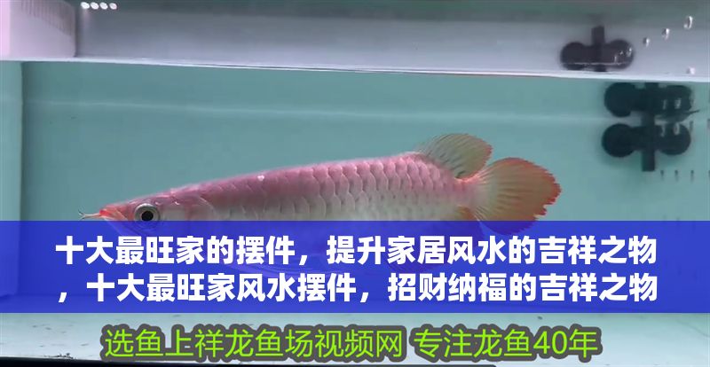 十大最旺家的擺件，提升家居風水的吉祥之物，十大最旺家風水擺件，招財納福的吉祥之物推薦
