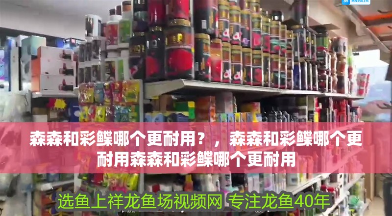 森森和彩鰈哪個更耐用？，森森和彩鰈哪個更耐用森森和彩鰈哪個更耐用