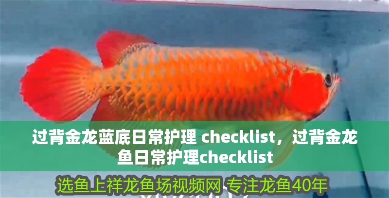 過背金龍藍(lán)底日常護(hù)理 checklist，過背金龍魚日常護(hù)理checklist 過背金龍藍(lán)底日常護(hù)理 checklist，過背金龍魚日常護(hù)理checklist 龍魚百科