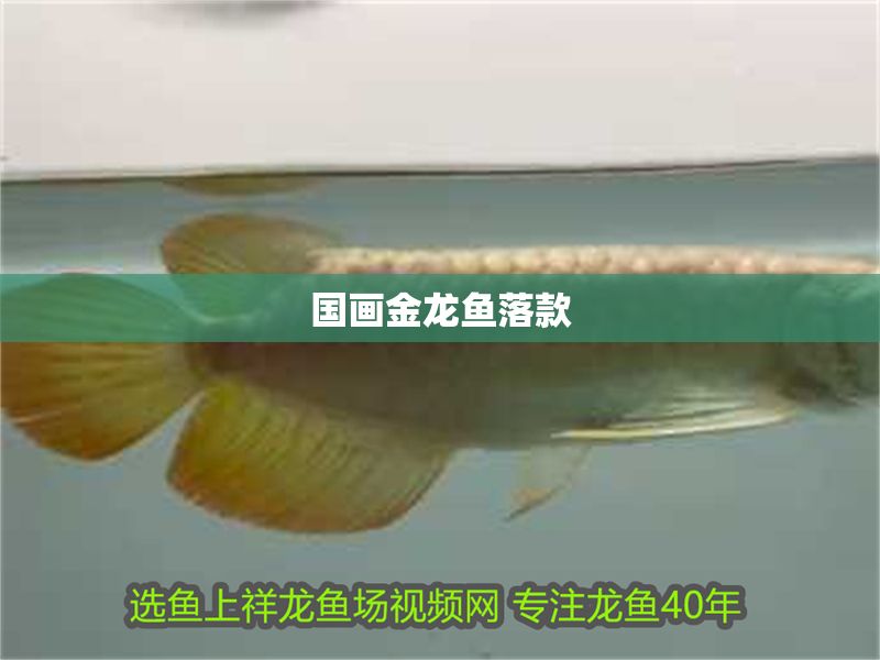 國(guó)畫(huà)金龍魚(yú)落款 國(guó)畫(huà)金龍魚(yú)落款 龍魚(yú)百科 第1張