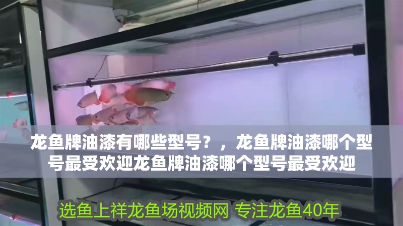 龍魚牌油漆有哪些型號？，龍魚牌油漆哪個型號最受歡迎龍魚牌油漆哪個型號最受歡迎