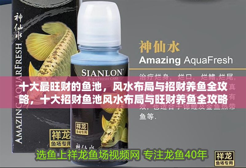 十大最旺財的魚池，風水布局與招財養魚全攻略，十大招財魚池風水布局與旺財養魚全攻略 十大最旺財的魚池，風水布局與招財養魚全攻略，十大招財魚池風水布局與旺財養魚全攻略 龍魚百科 第1張