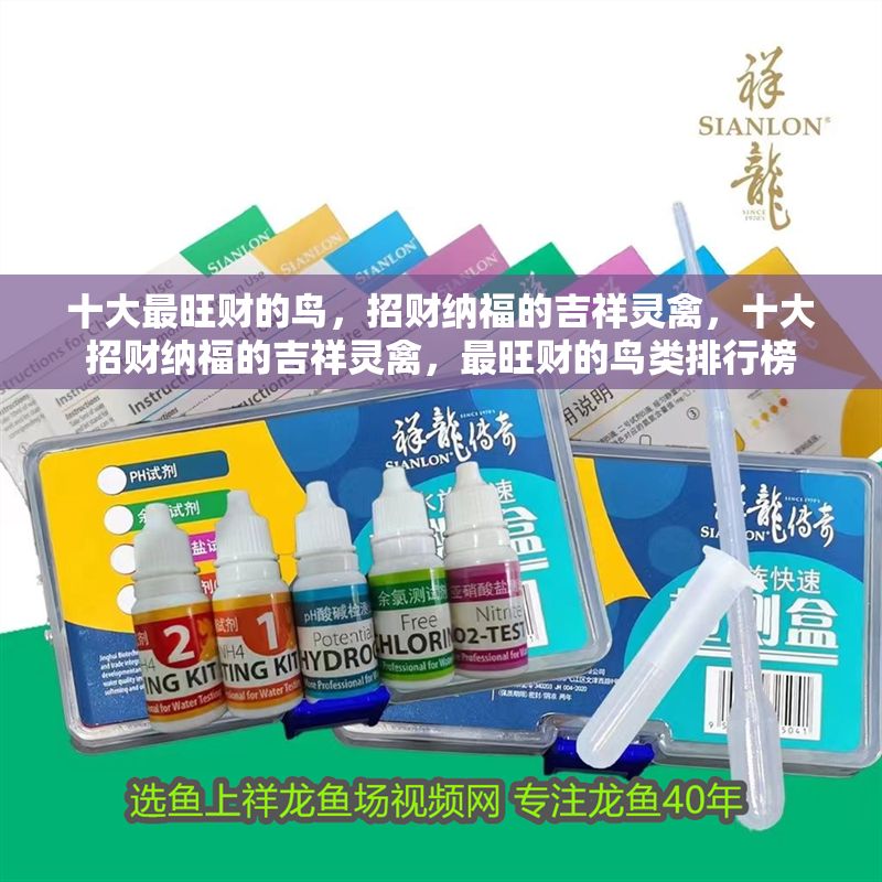 十大最旺財的鳥，招財納福的吉祥靈禽，十大招財納福的吉祥靈禽，最旺財的鳥類排行榜