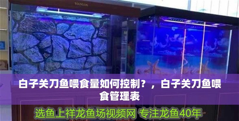 白子關刀魚喂食量如何控制？，白子關刀魚喂食管理表 白子關刀魚喂食量如何控制？，白子關刀魚喂食管理表 龍魚百科