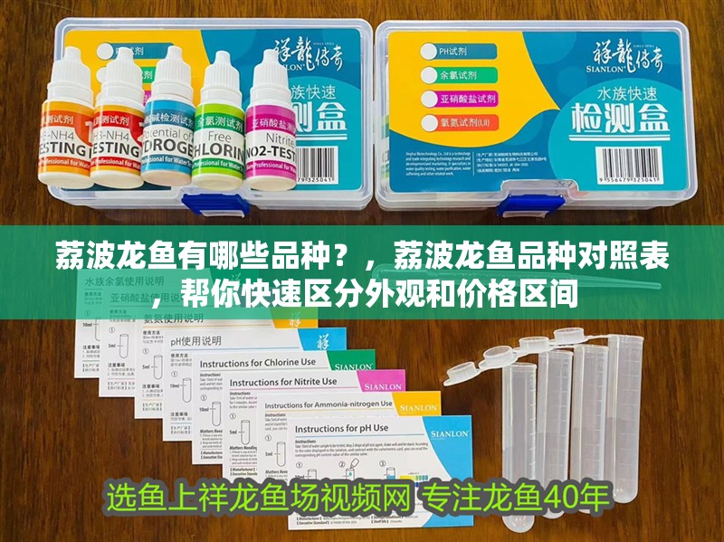 <strong><mark>荔波</mark></strong>龍魚有哪些品種？，<strong><mark>荔波</mark></strong>龍魚品種對照表，幫你快速區分外觀和價格區間