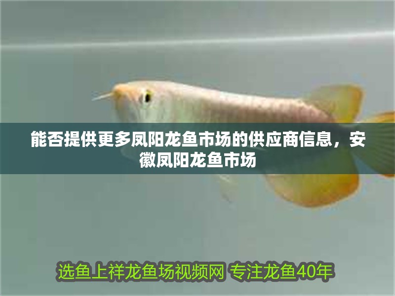 能否提供更多鳳陽龍魚市場的供應商信息，<strong><mark>安徽</mark></strong>鳳陽龍魚市場