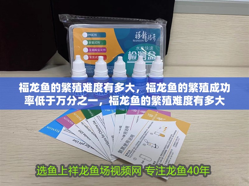 福龍魚的繁殖難度有多大，福龍魚的繁殖成功率低于萬分之一，福龍魚的繁殖難度有多大