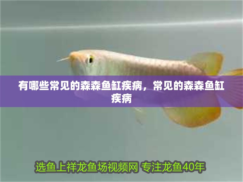 有哪些常見(jiàn)的森森魚(yú)缸疾病，常見(jiàn)的森森魚(yú)缸疾病