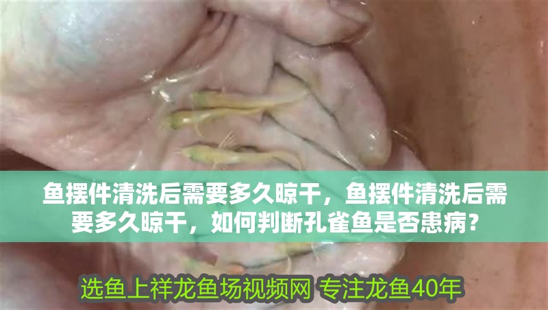 魚擺件清洗后需要多久晾干，魚擺件清洗后需要多久晾干，如何判斷孔雀魚是否患病？