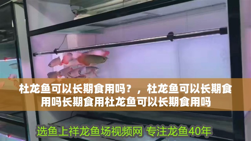 杜龍魚可以長期食用嗎？，杜龍魚可以長期食用嗎長期食用杜龍魚可以長期食用嗎