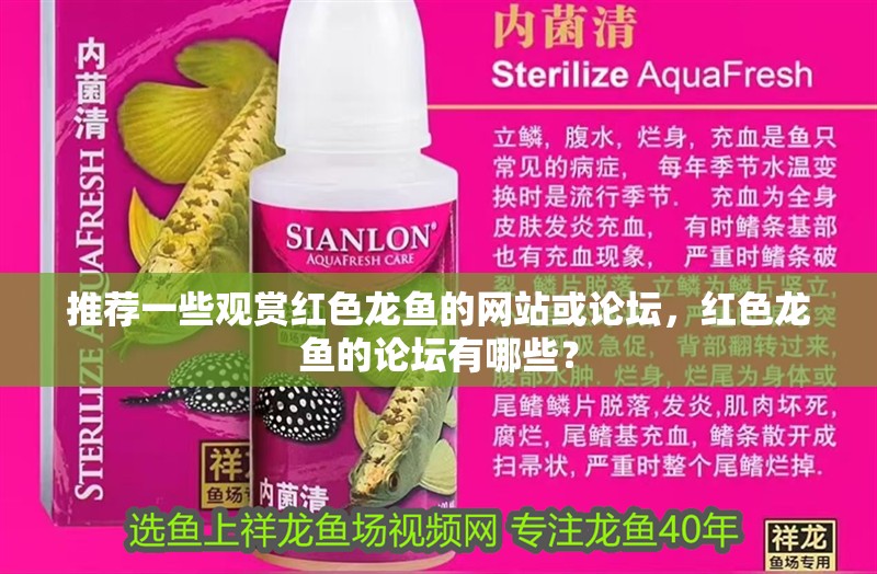 推薦一些觀賞紅色龍魚的網站或論壇，紅色龍魚的論壇有哪些？