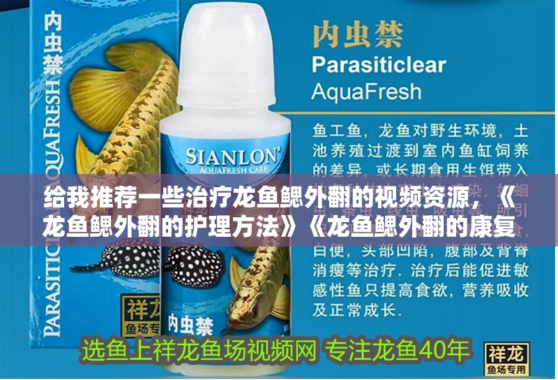 給我推薦一些治療龍魚鰓外翻的視頻資源，《龍魚鰓外翻的護理方法》《龍魚鰓外翻的康復訓練》