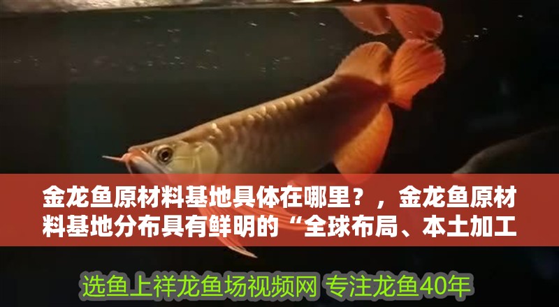 金龍魚原材料基地具體在哪里？，金龍魚原材料基地分布具有鮮明的“全球布局、本土加工”特征 金龍魚原材料基地具體在哪里？，金龍魚原材料基地分布具有鮮明的“全球布局、本土加工”特征 龍魚百科