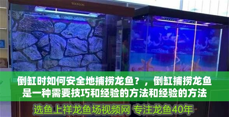 倒缸時(shí)如何安全地捕撈龍魚？，倒缸捕撈龍魚是一種需要技巧和經(jīng)驗(yàn)的方法和經(jīng)驗(yàn)的方法