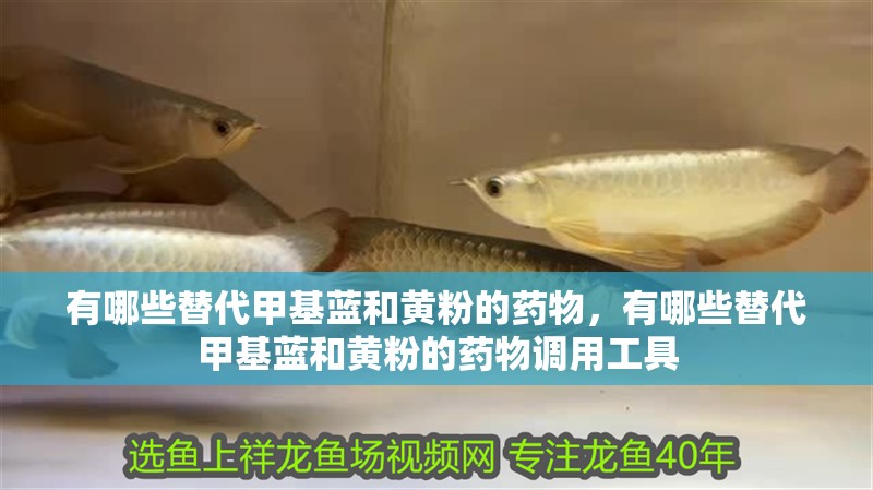 魚缸過濾器選購指南:自制魚缸過濾器魚缸上置過濾器對于養魚愛好者的必備知識 有哪些替代甲基藍和黃粉的藥物,有哪些替代甲基藍和黃粉的藥物調用工具 龍魚百科 有哪些替代甲基藍和黃粉的藥物,有哪些替代甲基藍和黃粉的藥物調用工具 有哪些替代甲基藍和黃粉的藥物,有哪些替代甲基藍和黃粉的藥物調用工具 龍魚百科