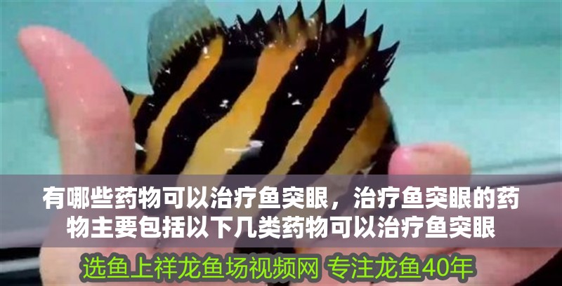 我的虎魚真菌感染了要怎么處理 有哪些藥物可以治療魚突眼,治療魚突眼的藥物主要包括以下幾類藥物可以治療魚突眼 龍魚百科 有哪些藥物可以治療魚突眼,治療魚突眼的藥物主要包括以下幾類藥物可以治療魚突眼 有哪些藥物可以治療魚突眼,治療魚突眼的藥物主要包括以下幾類藥物可以治療魚突眼 龍魚百科