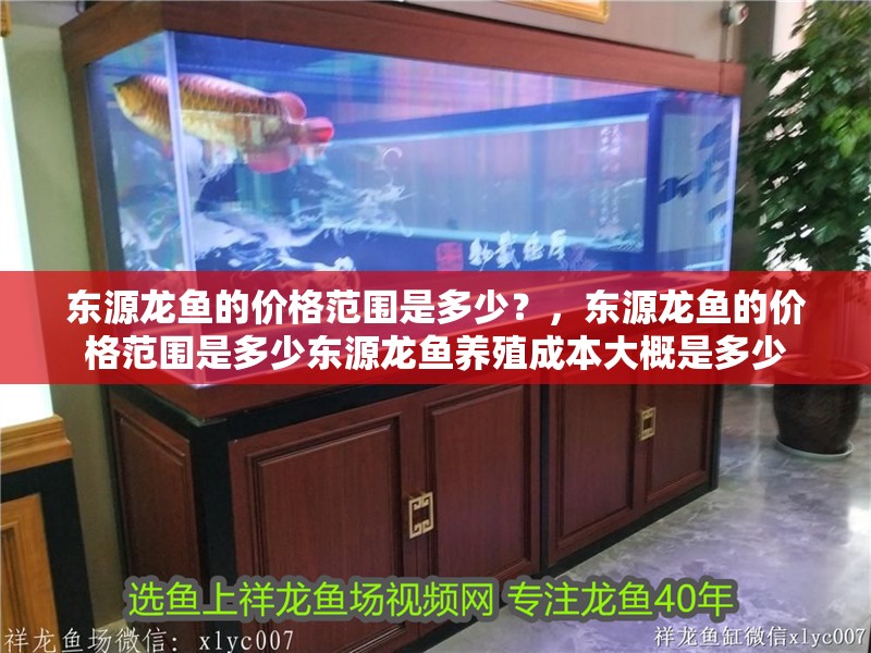 東源龍魚的價格范圍是多少？，東源龍魚的價格范圍是多少東源龍魚養(yǎng)殖成本大概是多少