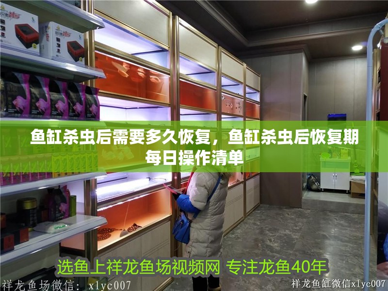 魚缸殺蟲后需要多久恢復(fù)，魚缸殺蟲后恢復(fù)期每日操作清單
