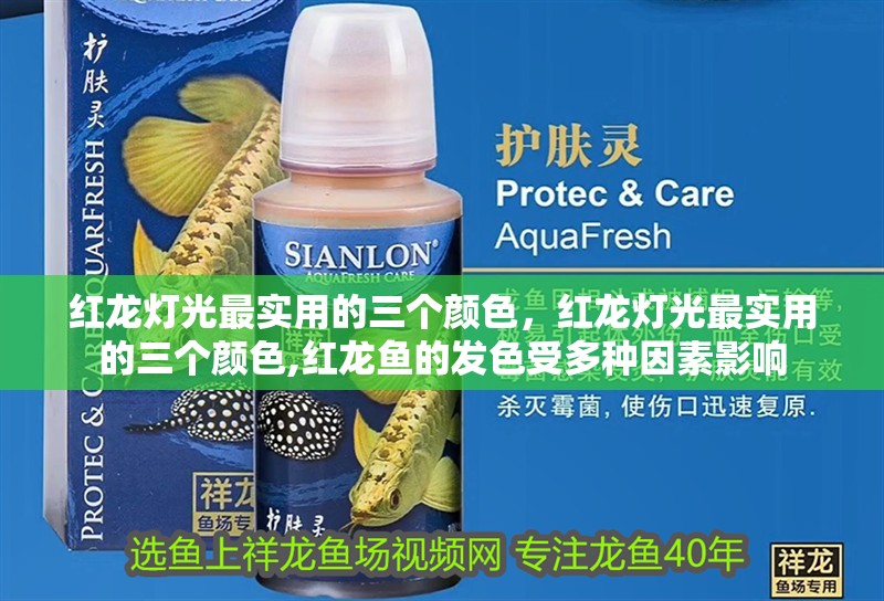 魚缸用增氧泵價(jià)格是多少:魚缸增氧機(jī)-xtrac增氧機(jī)-xtrac增氧機(jī) 紅龍燈光最實(shí)用的三個(gè)顏色,紅龍燈光最實(shí)用的三個(gè)顏色,紅龍魚的發(fā)色受多種因素影響 龍魚百科 紅龍燈光最實(shí)用的三個(gè)顏色,紅龍燈光最實(shí)用的三個(gè)顏色,紅龍魚的發(fā)色受多種因素影響 紅龍燈光最實(shí)用的三個(gè)顏色,紅龍燈光最實(shí)用的三個(gè)顏色,紅龍魚的發(fā)色受多種因素影響 龍魚百科