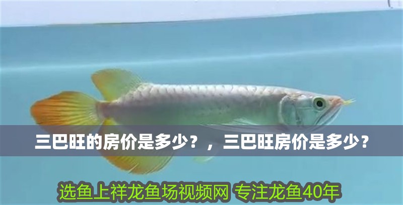 三巴旺的房價是多少？，三巴旺房價是多少？