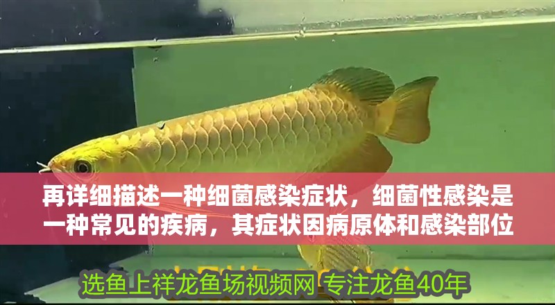 鸚鵡魚和銀龍魚混養怎樣喂食 再詳細描述一種細菌感染癥狀,細菌性感染是一種常見的疾病,其癥狀因病原體和感染部位而異 龍魚百科 再詳細描述一種細菌感染癥狀,細菌性感染是一種常見的疾病,其癥狀因病原體和感染部位而異 再詳細描述一種細菌感染癥狀,細菌性感染是一種常見的疾病,其癥狀因病原體和感染部位而異 龍魚百科