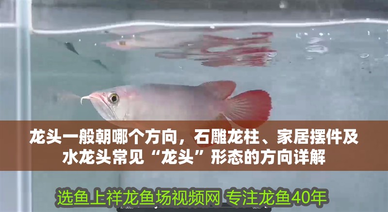 龍頭一般朝哪個方向，石雕龍柱、家居擺件及水龍頭常見“龍頭”形態(tài)的方向詳解 龍頭一般朝哪個方向，石雕龍柱、家居擺件及水龍頭常見“龍頭”形態(tài)的方向詳解 龍魚百科