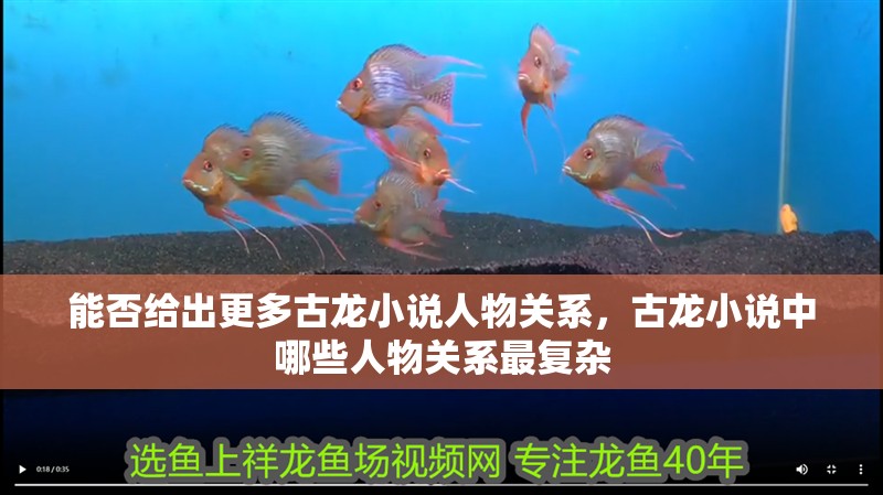 能否給出更多古龍小說(shuō)人物關(guān)系，古龍小說(shuō)中哪些人物關(guān)系最復(fù)雜