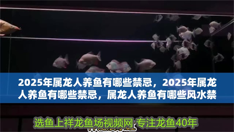 2025年屬龍人養魚有哪些禁忌，2025年屬龍人養魚有哪些禁忌，屬龍人養魚有哪些風水禁忌