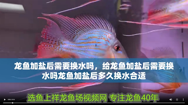 龍魚加鹽后需要換水嗎，給龍魚加鹽后需要換水嗎龍魚加鹽后多久換水合適
