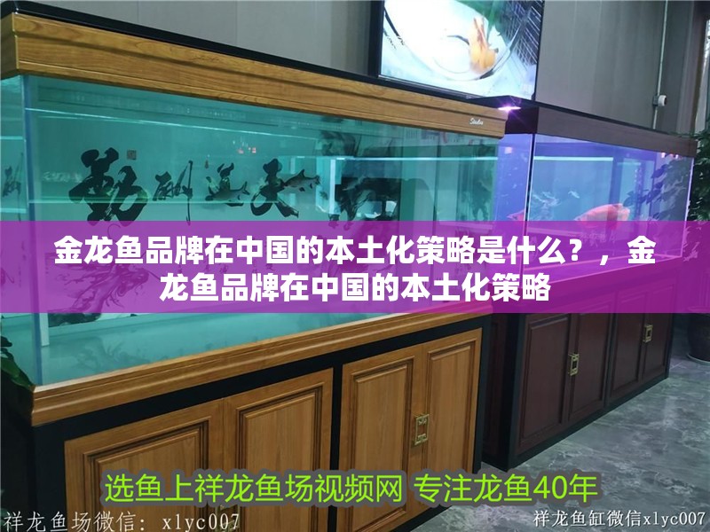 金龍魚品牌在中國的本土化策略是什么？，金龍魚品牌在中國的本土化策略