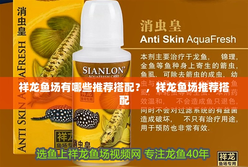 祥龍魚場有哪些推薦搭配？，祥龍魚場推薦搭配