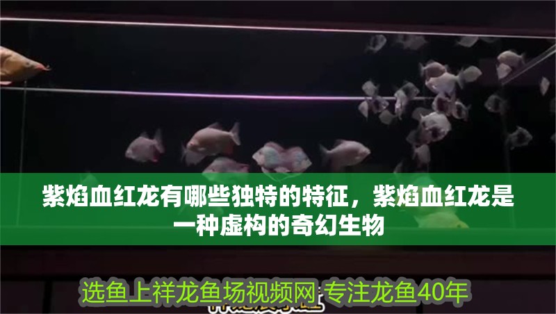 紫焰血紅龍有哪些獨特的特征，紫焰血紅龍是一種虛構的奇幻生物