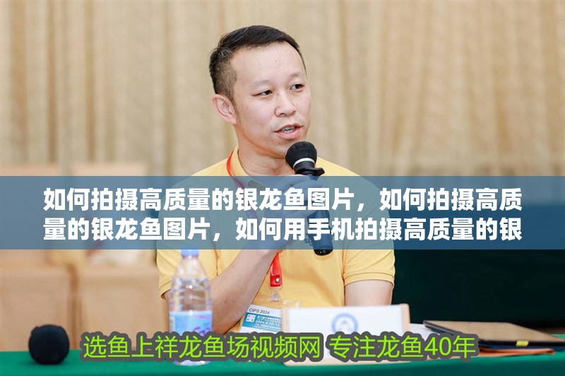 如何拍攝高質(zhì)量的銀龍魚圖片，如何拍攝高質(zhì)量的銀龍魚圖片，如何用手機拍攝高質(zhì)量的銀龍魚圖片
