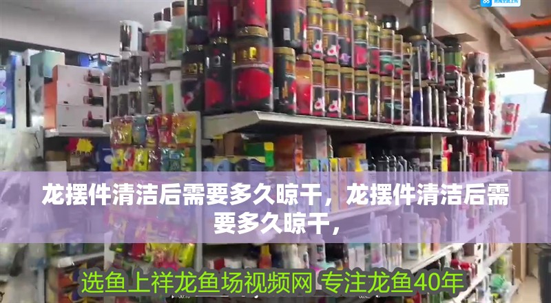 魚缸過濾器選購指南:自制魚缸過濾器魚缸上置過濾器對于養魚愛好者的必備知識 龍擺件清潔后需要多久晾干,龍擺件清潔后需要多久晾干, 龍魚百科 龍擺件清潔后需要多久晾干,龍擺件清潔后需要多久晾干, 龍擺件清潔后需要多久晾干,龍擺件清潔后需要多久晾干, 龍魚百科