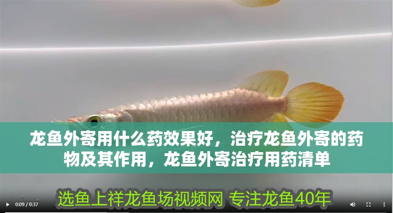 龍魚外寄用什么藥效果好，治療龍魚外寄的藥物及其作用，龍魚外寄治療用藥清單 龍魚外寄用什么藥效果好，治療龍魚外寄的藥物及其作用，龍魚外寄治療用藥清單 龍魚百科