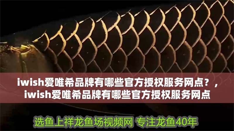 iwish愛唯希品牌有哪些官方授權服務網點？，iwish愛唯希品牌有哪些官方授權服務網點 iwish愛唯希品牌有哪些官方授權服務網點？，iwish愛唯希品牌有哪些官方授權服務網點 龍魚百科